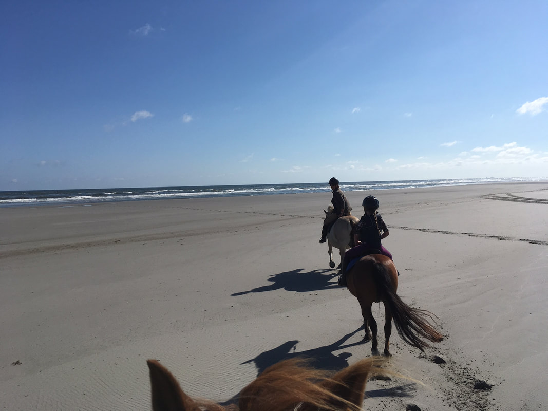 Paardrijden op het strand van Ameland