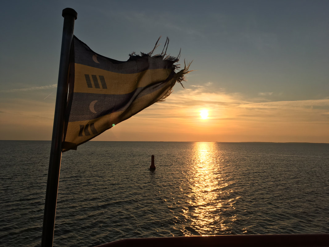Boottochten naar de Robbenplaat